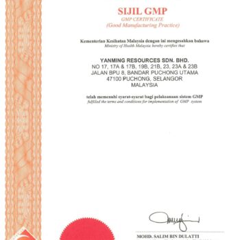 GMP 证书